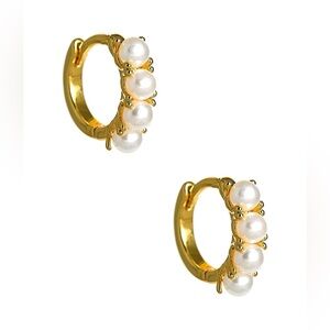 Lisi Lerch Luxe Loop Huggie Hoop Earrings
